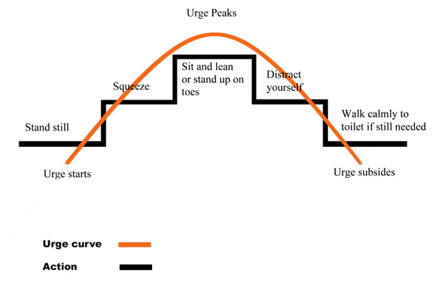 continence Foundation Ireland urge curve chart illustration